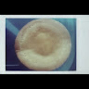 Meet your Posher, Charles